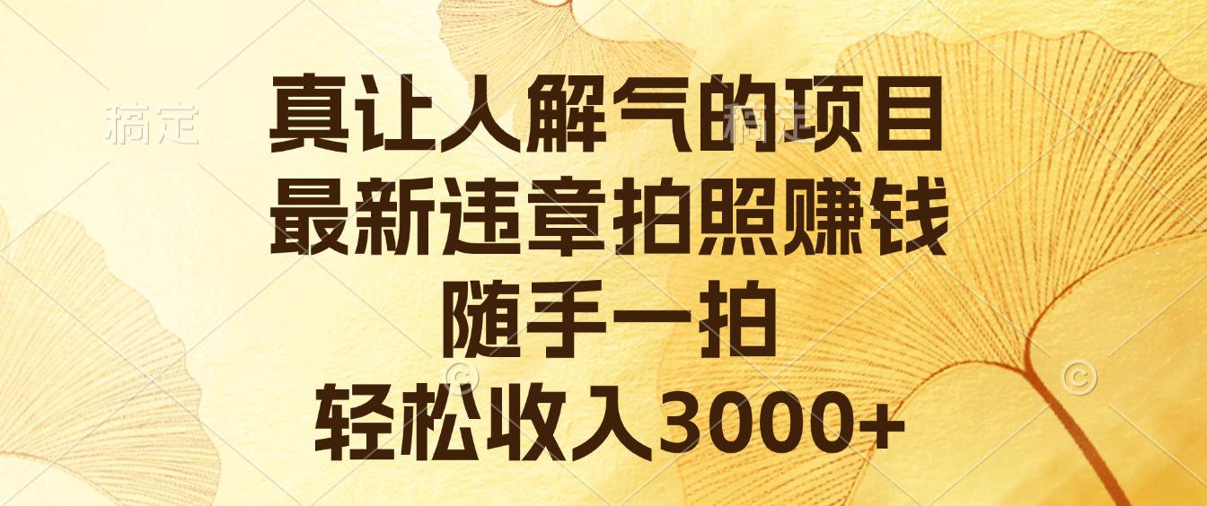 真让人解气的项目，最新违章拍照赚钱，随手一拍，轻松收入3000+