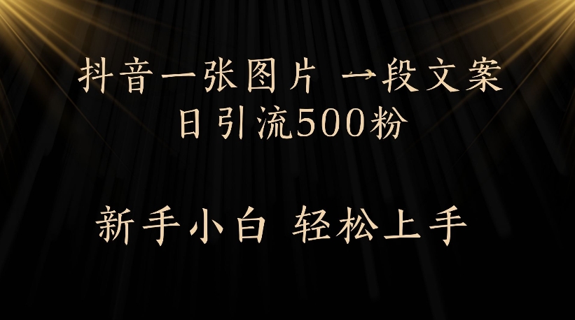 抖音一张图片，一段文案日引流500粉，新手小白 轻松上手