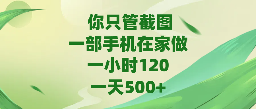 你只管截图，一部手机在家做，一小时120，一天500+