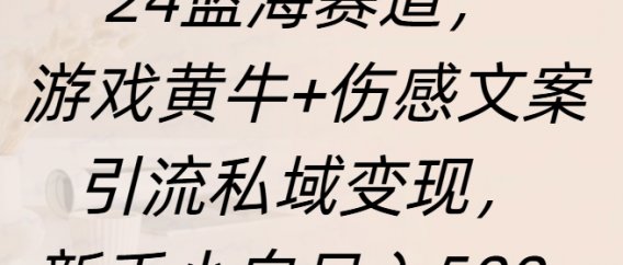 24蓝海赛道，游戏黄牛+伤感文案引流私域变现，新手日入500+