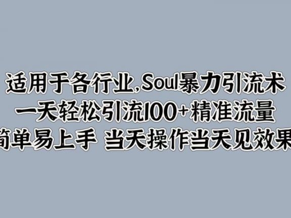 适用于各行业,Soul暴力引流术,一天轻松引流100+精准流量,简单易上手 当天操作当天见效果!